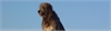 //filestore.immowelt.de/logo/100_af8236118214433a8b7a3641deffcbee.jpg